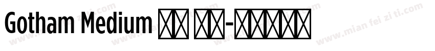 Gotham Medium 亮体 斜体字体转换